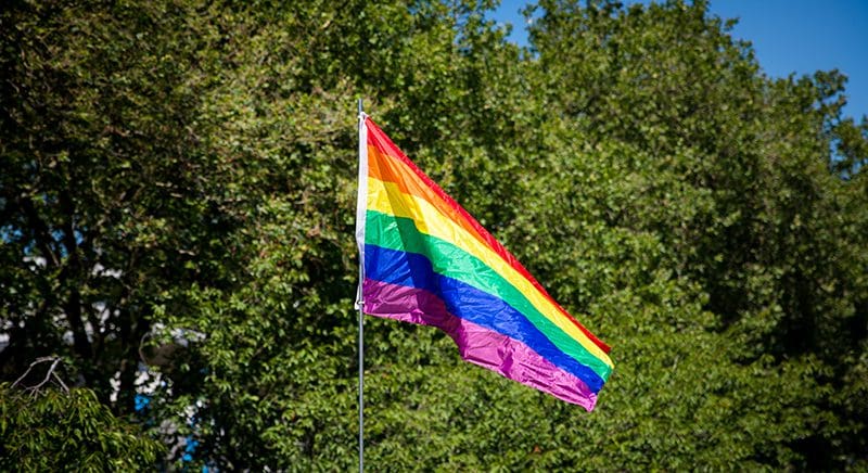 Pride Flag in front of trees