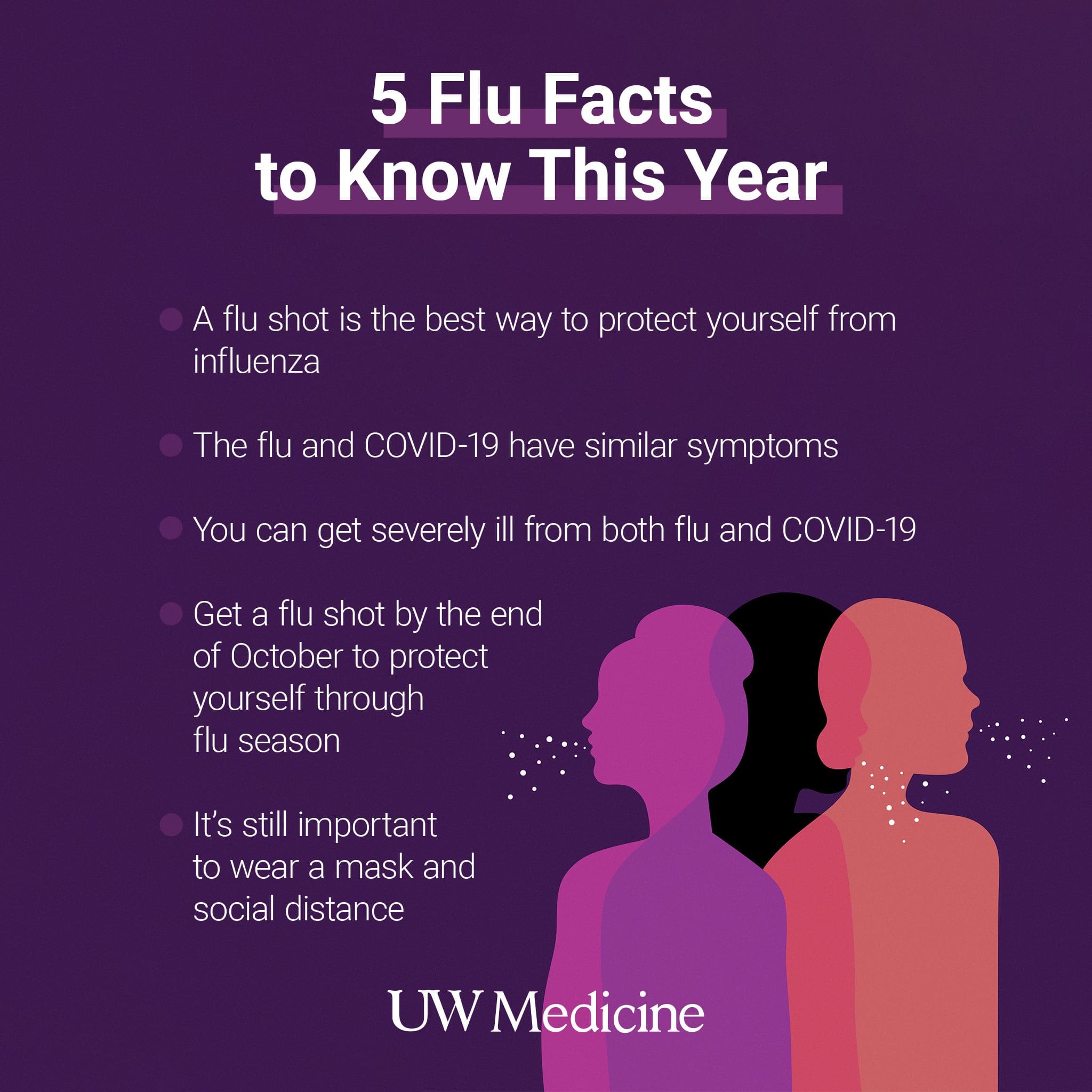 5 flu facts illustration