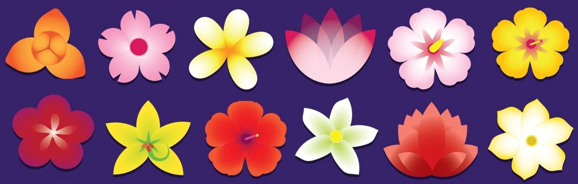 The Flowers of the ANHPI Email Signature