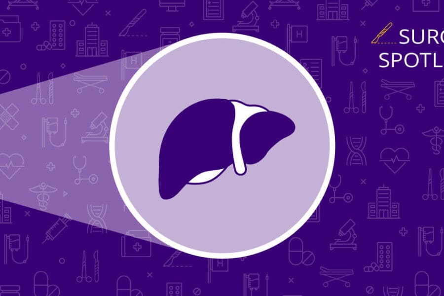Illustration of a liver